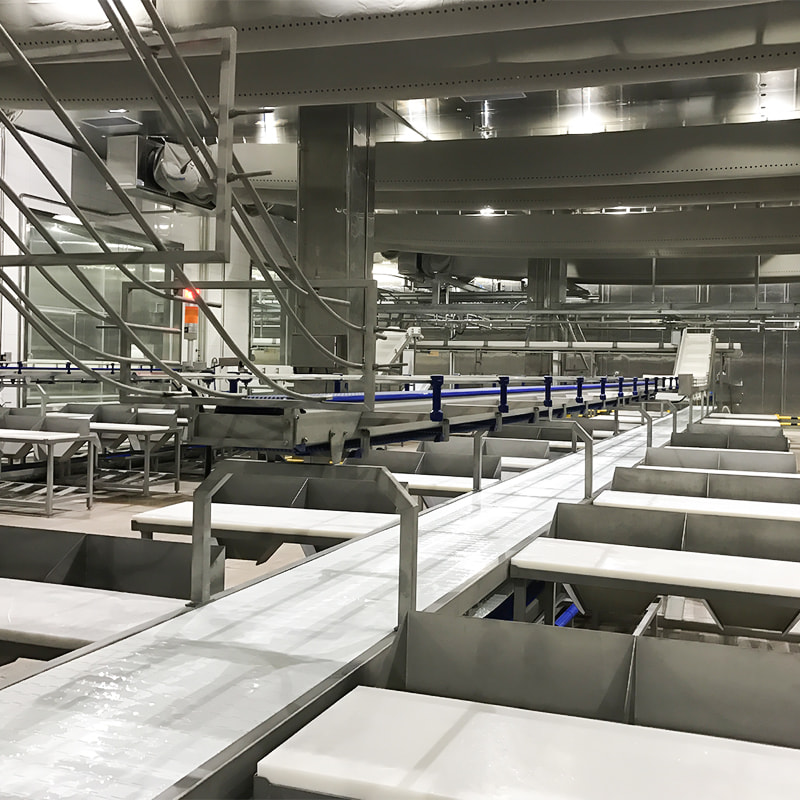 牛分割剔骨解決方案