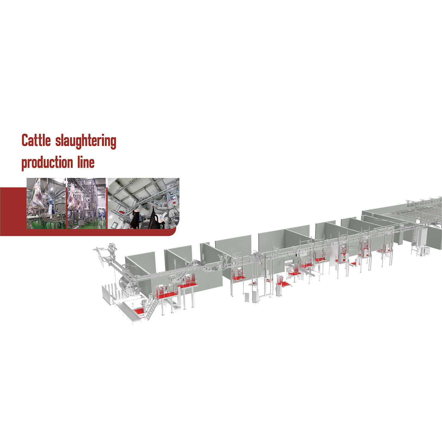 牛屠宰解決方案